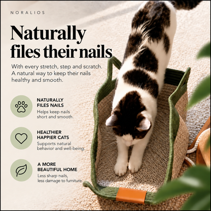 Instinct Basket | Meet the first research-backed natural territory for indoor cats
