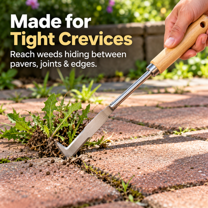 Noralios WeedLock™ Crevice Weeder