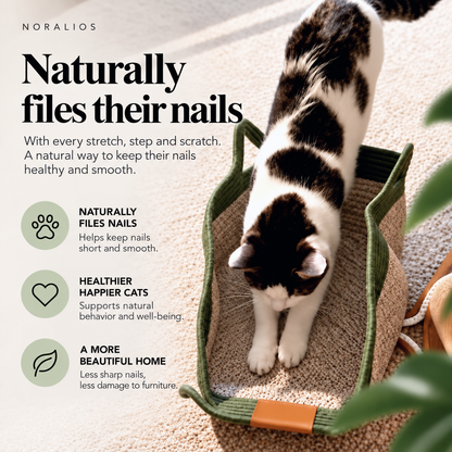 Instinct Basket | Meet the first research-backed natural territory for indoor cats